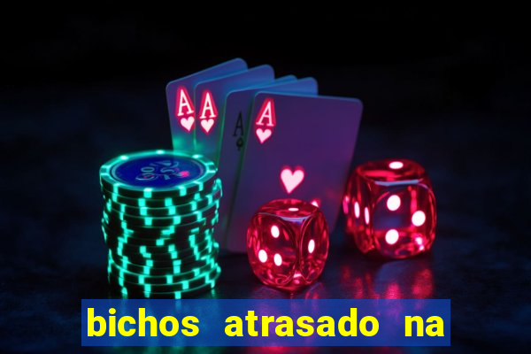 bichos atrasado na loteria dos sonhos